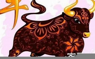 属牛人的命运(73年属牛人的命运)