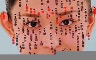 女人面相算命图解(女人面相秘法)