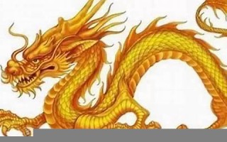 属龙的人2021年的运势及运程(属龙的人2021年的运势及运程如何)