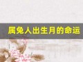 属兔人出生月的命运(属兔人出生月的命运详解)