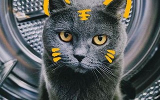 四月十一(四月十一是哪个菩萨生日)