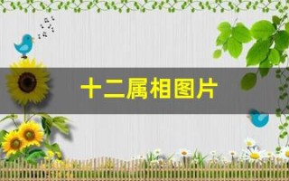 十二属相图片(十二属相图片年龄)