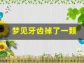 梦见牙齿掉了一颗(梦见牙齿掉了一颗是什么征兆)