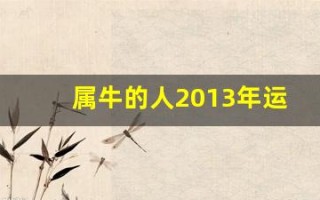 属牛的人2013年运程大全及破解(2013年属牛的是什么命)
