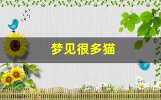 梦见很多猫(梦见很多猫是什么预兆 女性)