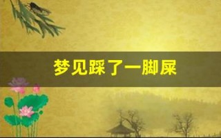 梦见踩了一脚屎(女人梦见脚踩大便预示着什么)