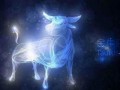 金牛座运势(金牛座运势明日运势查询)