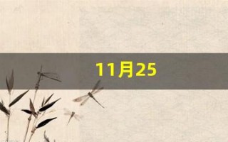 11月25(11月25日农历是几月几号)