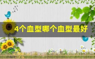 4个血型哪个血型最好(4个血型哪个血型最好熊猫血)