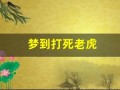 梦到打死老虎(梦见打死老虎周公解梦原版)