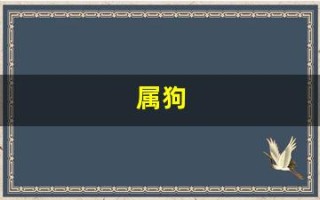 属狗(属狗的年份)