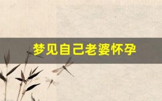 梦见自己老婆怀孕(梦见自己老婆怀孕了是什么预兆)