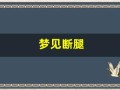 梦见断腿(梦见断腿的狗)