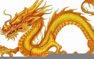 属龙是哪一年出生的(61岁属龙是哪一年出生的)