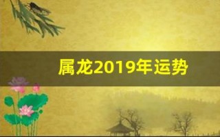 属龙2019年运势(属龙2019年的运势)