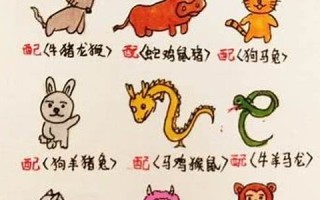 十二生肖最佳配对(十二生肖最佳配对表格图)