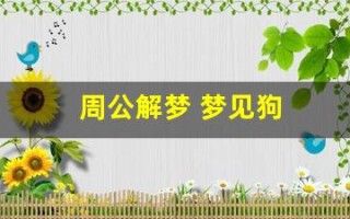 周公解梦 梦见狗(周公解梦梦见狗拉屎)