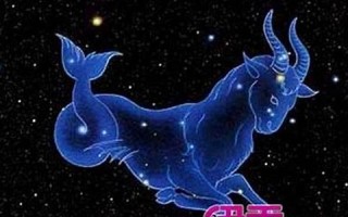 为什么说摩羯座是床上公务员(摩羯座为什么是个羊)