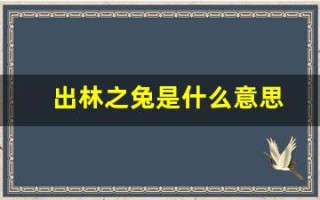 出林之兔是什么意思(出林龙是什么生肖)