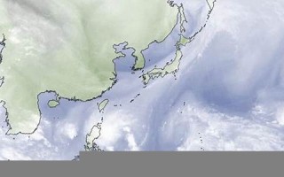 10月11日(10月11日出生的明星)