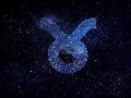 金牛座官网(金牛座app官网)