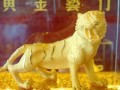 属虎2021年运势及运程(1986年属虎男2025年属虎的全年运势)