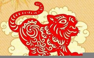 属虎2023年的运势及运程(属虎2023年的运势及运程74)