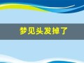 梦见头发掉了(梦见头发掉了一大片)