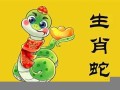属蛇人2024年运势完整版(属蛇人2024年运势完整版幸运色)