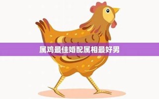 属鸡男最佳婚配属相(属鸡女最佳婚配属相)