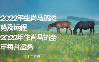 2022年属马的全年运势(2022年属马全年运程)