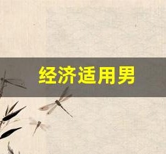 经济适用男(我们经济适用男)