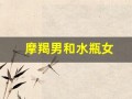 摩羯男和水瓶女(摩羯女和什么星座男最相配)
