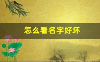 怎么看名字好坏(如何看名字好坏)