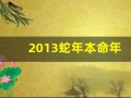2013蛇年本命年(2013蛇年本命年文案)