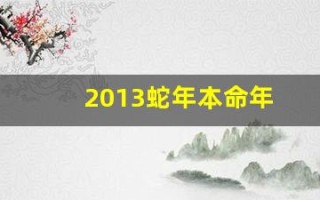 2013蛇年本命年(2013蛇年本命年文案)