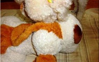 2011年10月31日(2011年10月31日世界人口总数已达多少亿)