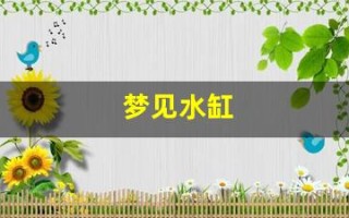 梦见水缸(梦见水缸没水了是什么意思)