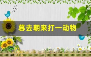 暮去朝来打一动物(暮去朝来猜生肖)