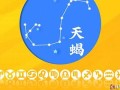 天蝎座2013年运势(天蝎座2013年运势详解)