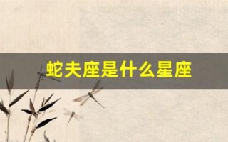 蛇夫座是什么星座(蛇夫座是什么星座最配)