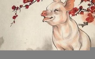 猪和什么属相最配(生肖猪和什么属相最配)