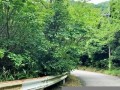7月14日(7月14日是什么节)