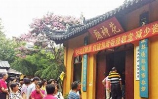 二月十二(二月十二出生的男孩命运)
