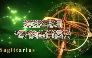 星座运势2013年(星座运势2011年)