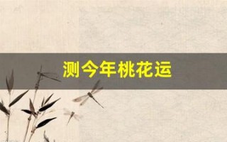 测今年桃花运(测试一下今年的桃花运)
