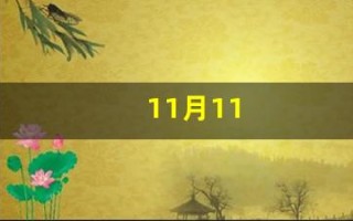 11月11(11月11日出生的人)