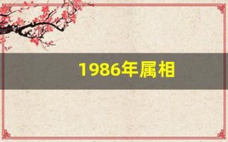 1986年属相(1986年属相今年多大了)