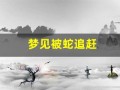 梦见被蛇追赶(梦见被蛇追赶拼命逃跑是什么征兆)