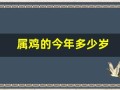 属鸡的今年多少岁(属兔的今年多少岁)